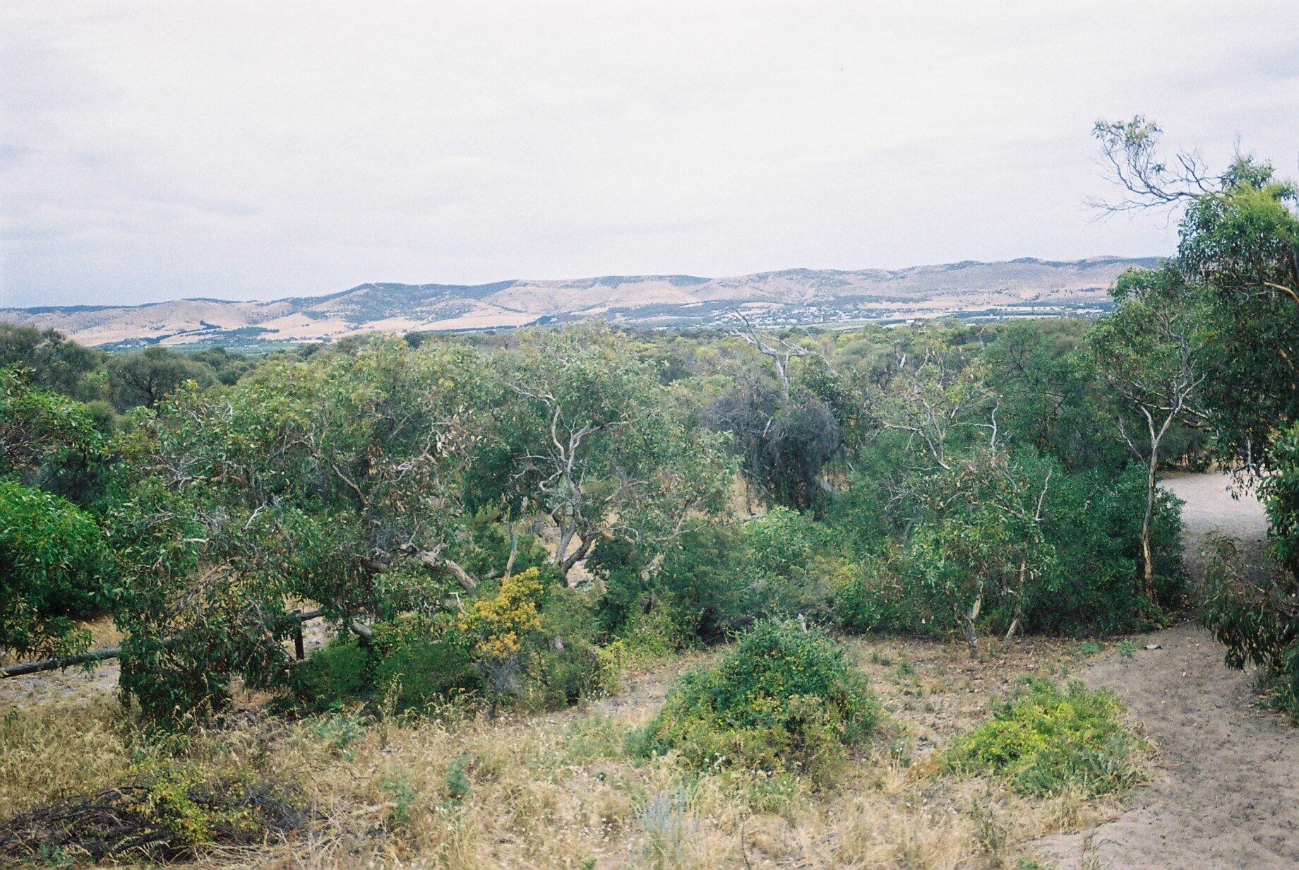 Sellicks Hills Range
